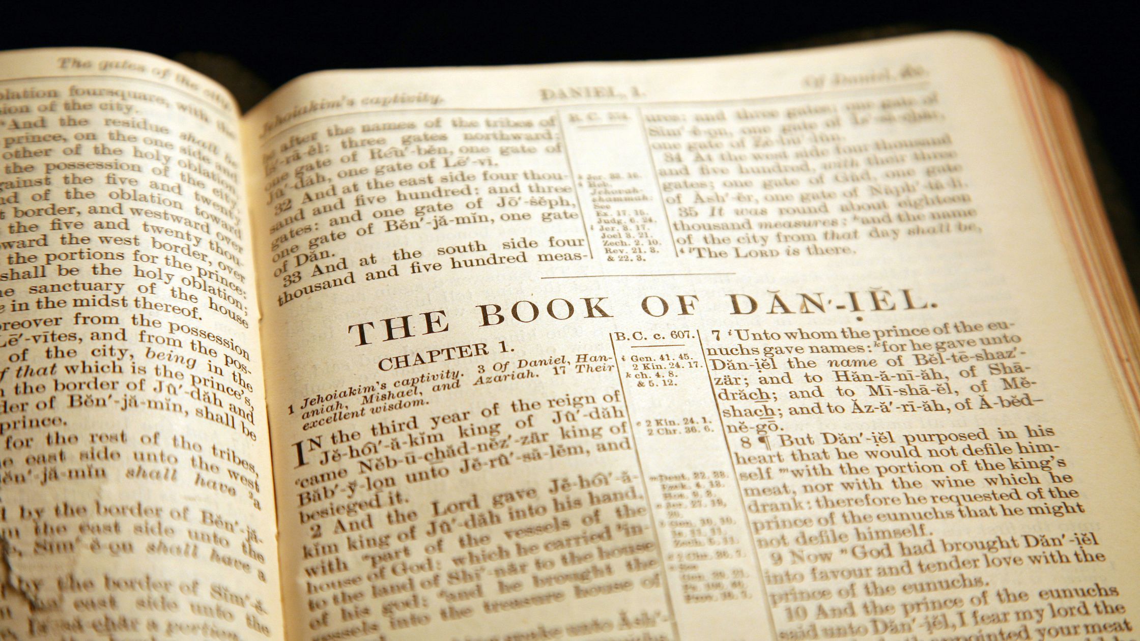 Book of Daniel, Daniel Fast